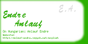 endre anlauf business card